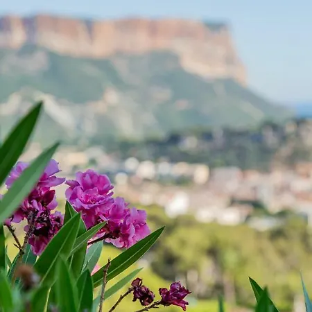Antheroc Par Dodo-a-cassis *